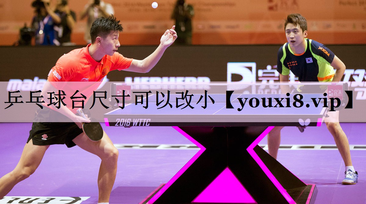 乒乓球台尺寸可以改小