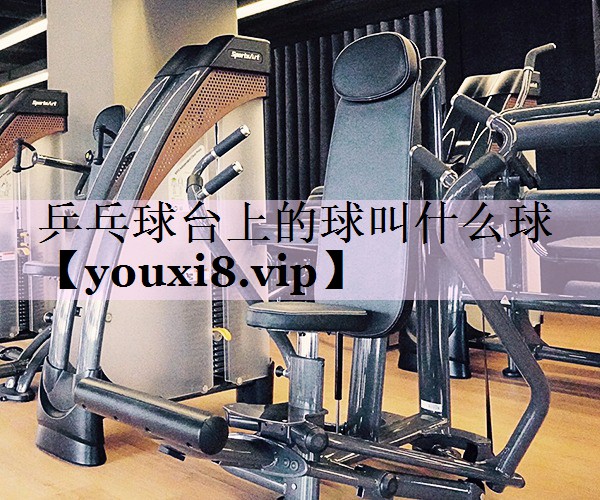 乒乓球台上的球叫什么球