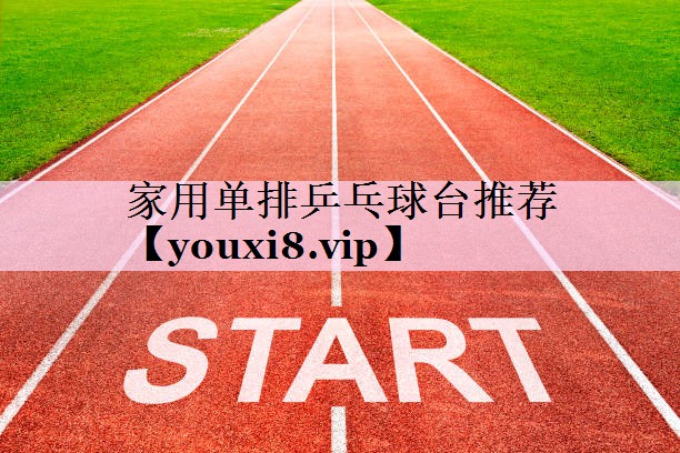 家用单排乒乓球台推荐