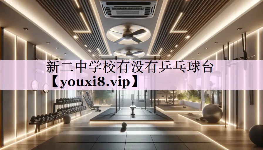 新二中学校有没有乒乓球台
