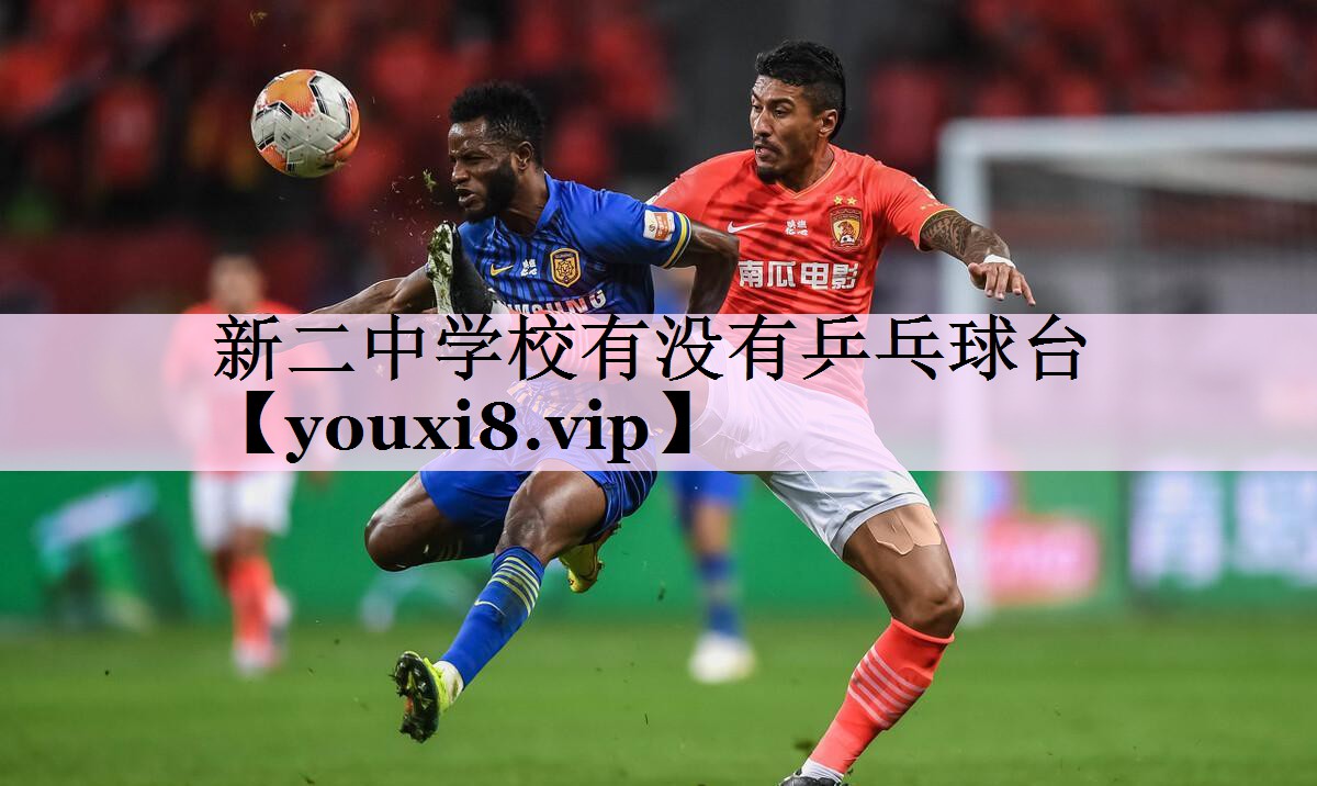 新二中学校有没有乒乓球台