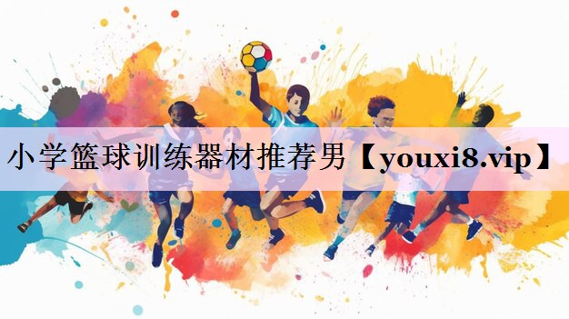 小学篮球训练器材推荐男