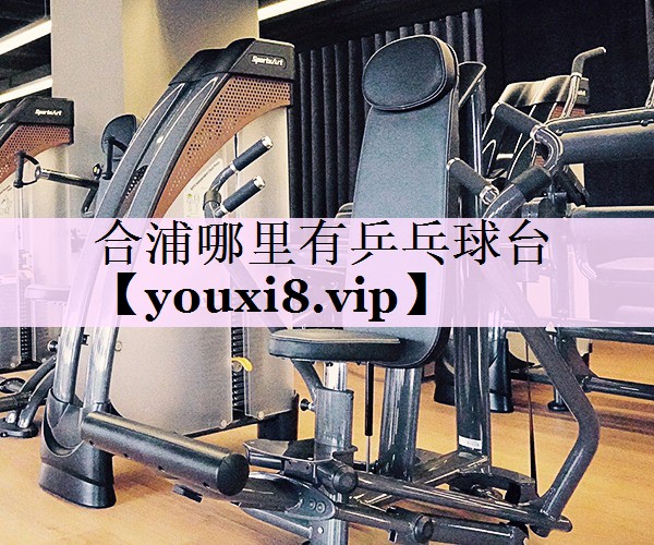 合浦哪里有乒乓球台