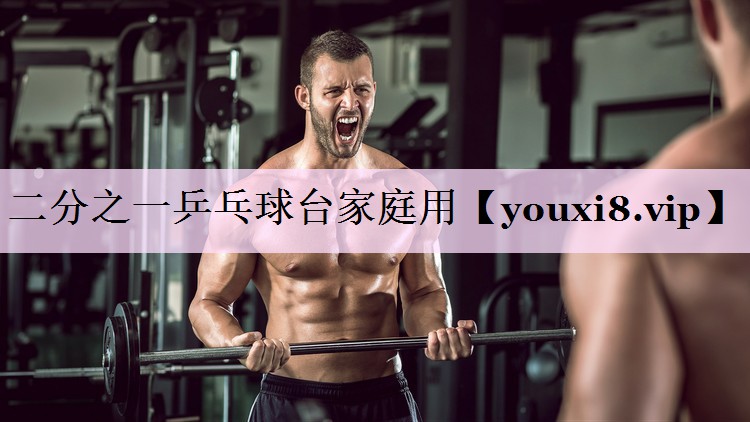 二分之一乒乓球台家庭用