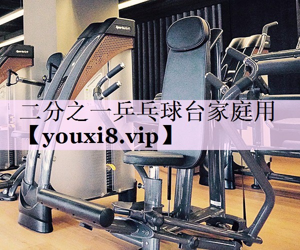 二分之一乒乓球台家庭用