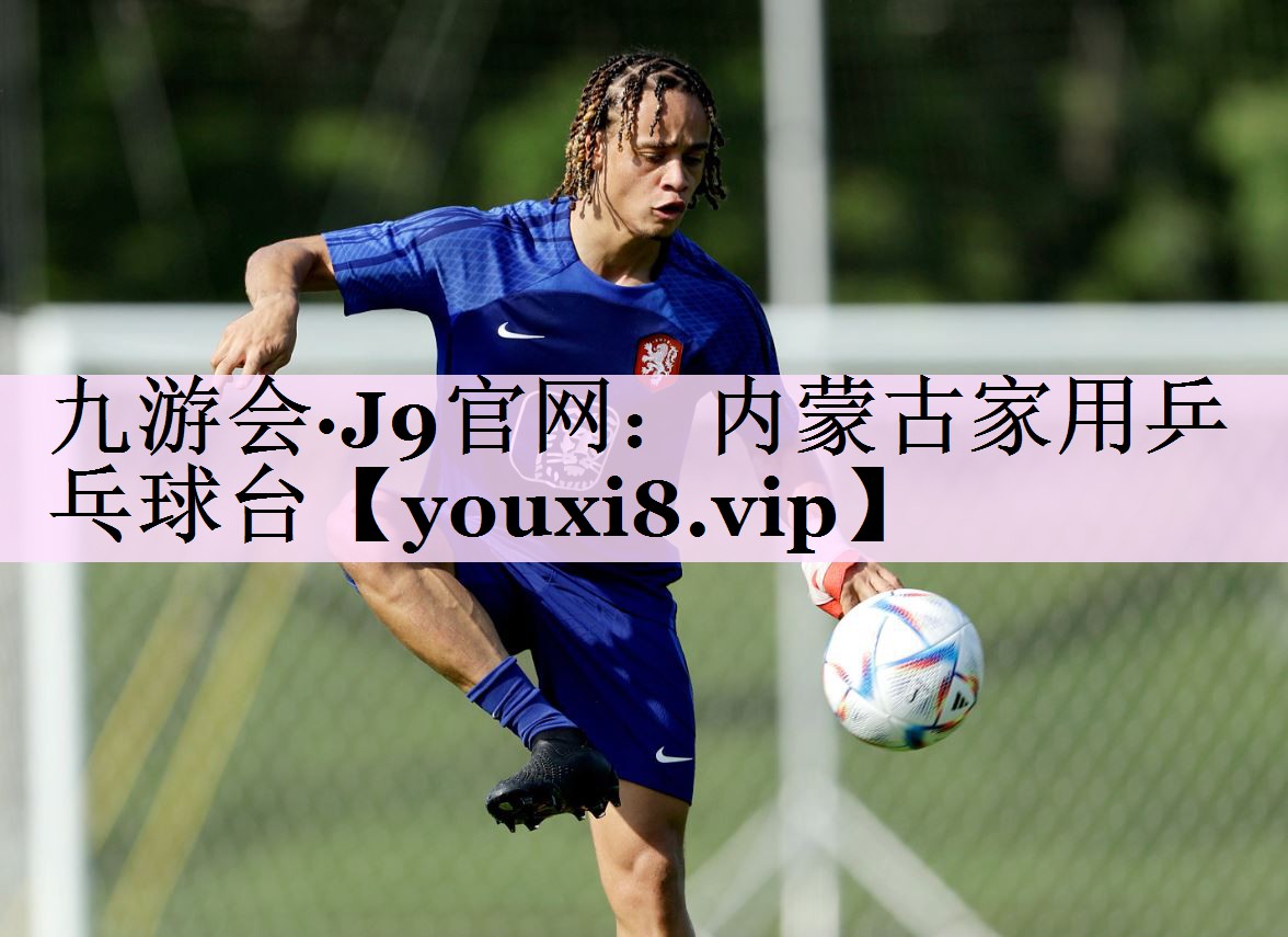 内蒙古家用乒乓球台